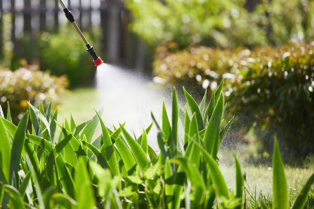 24/7 Emergency Ant Control experts in Towson, MD