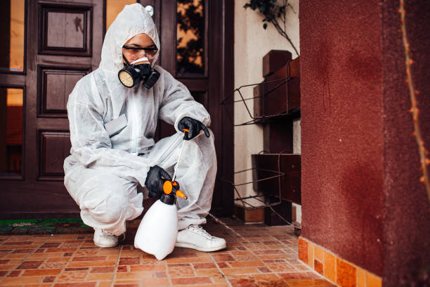 Reliable Ant Control contractor in Towson, MD by Nex Pest Control