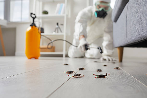 Trusted Bed Bug Control service in Towson, MD - Nex Pest Control