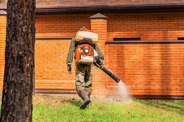Trusted Ant Control service in Towson, MD - Nex Pest Control